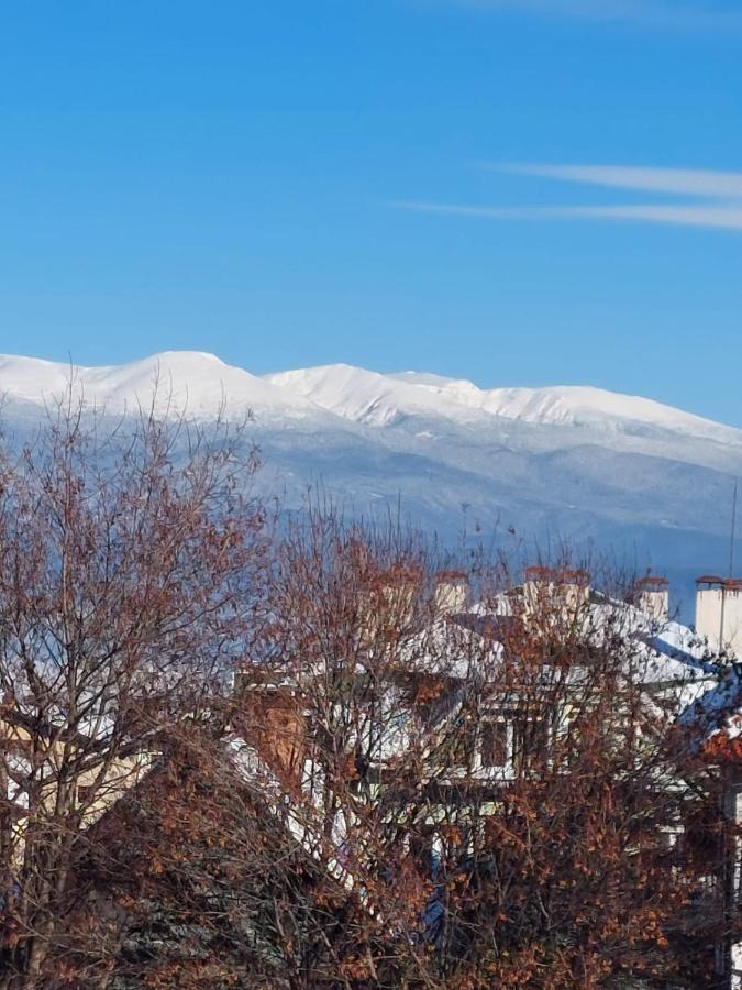 Лукс Апартамент Bansko Eksteriør bilde